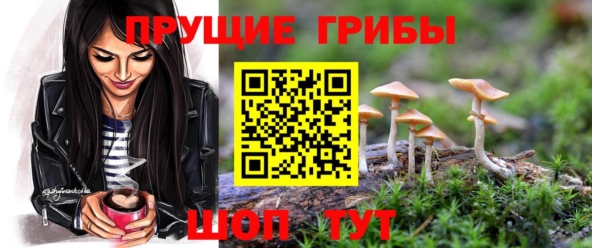 Галлюциногенные грибы Cubensis  Галлюциногенные грибы Psilocybe  закладка  Вход с VPN  Советский 