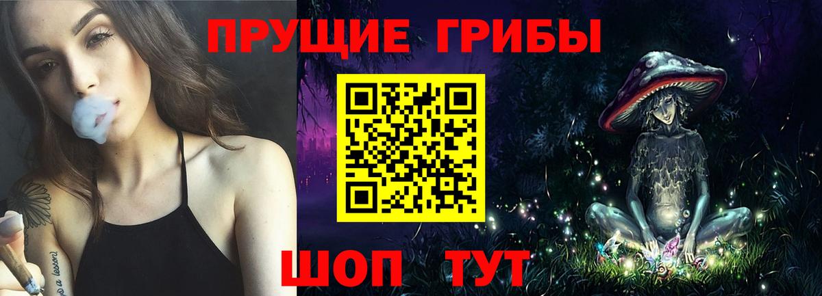 Псилоцибиновые грибы Psilocybe Советский